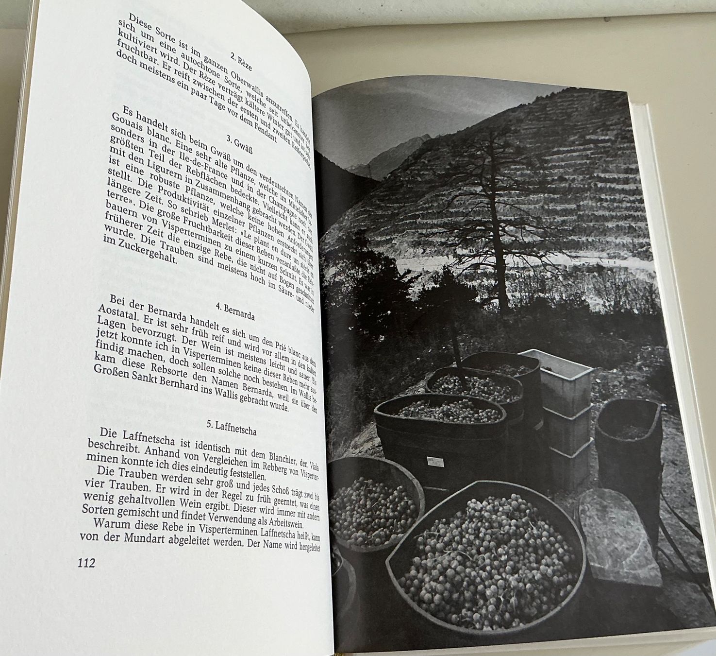 Libri: Weinbuch "Der Wein im Oberwallis" 1972 – Usato da Crans-Montana venduto da plainemorte 8