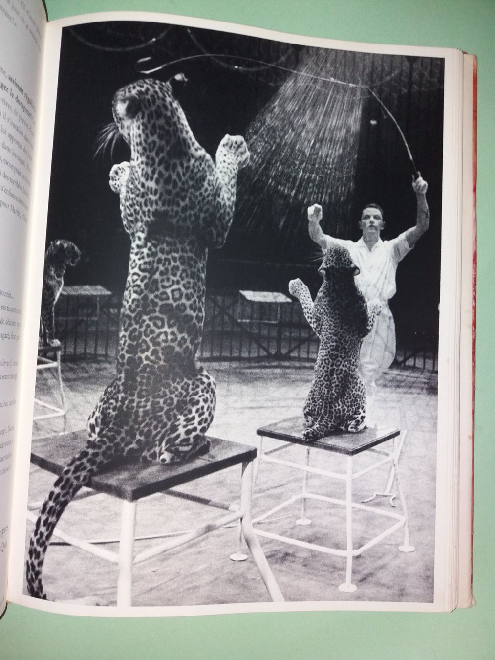 Bücher: IZIS cirque FOTOKLASSIKER Chagall Prevert – Gebraucht aus Welschenrohr von Regool 7