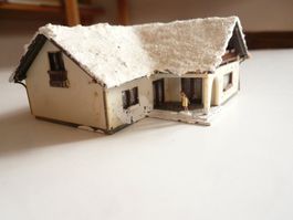 HAUS MIT SCHNEE SPUR N   (1)