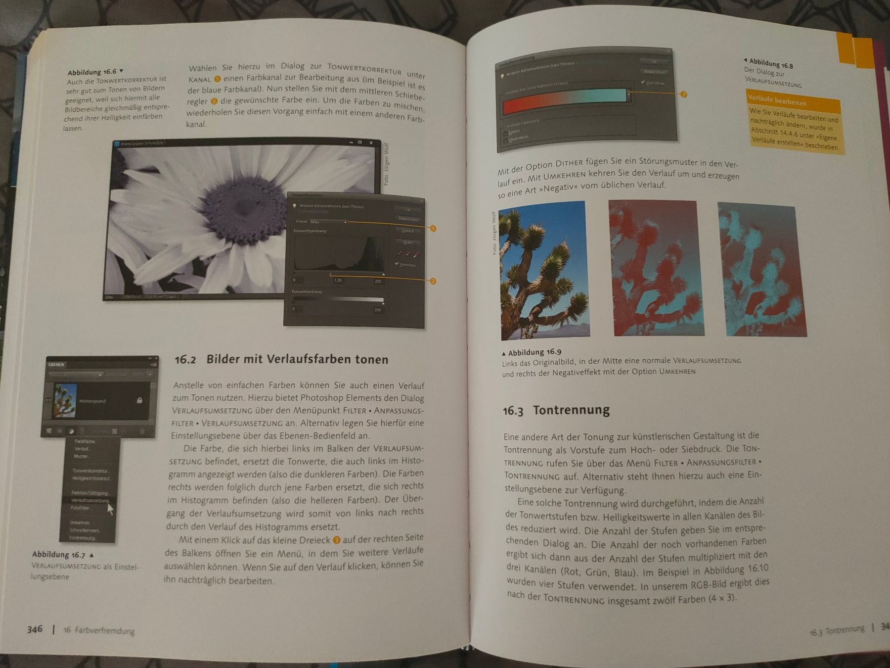 Adobe Software: Adobe Photoshop Elements 9: Das umfassende Handbuch (Galileo – Usato da Zürich venduto da Henshin623 1