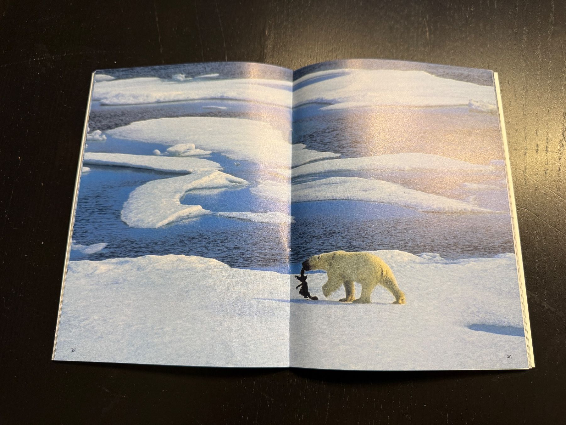 Libri: Mach's gut, Eisbär! Ein wunderschönes Kinderbuch. Top! – Usato da Erstfeld venduto da Mario_boe0 3