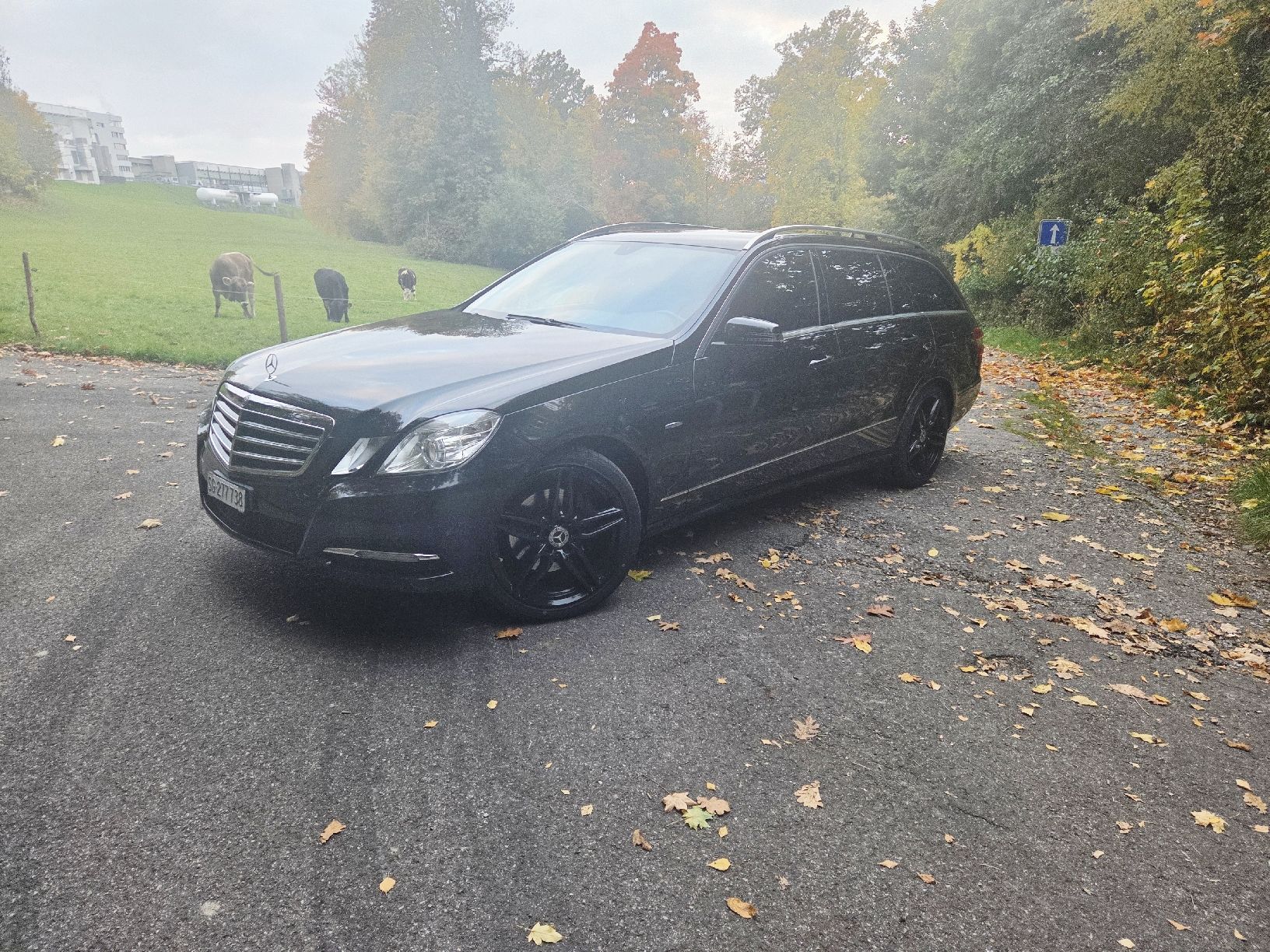 Mercedes-Benz Autos: Mercedes Benz E 250 CGI – D'occasion à Wil SG par Zaza1621