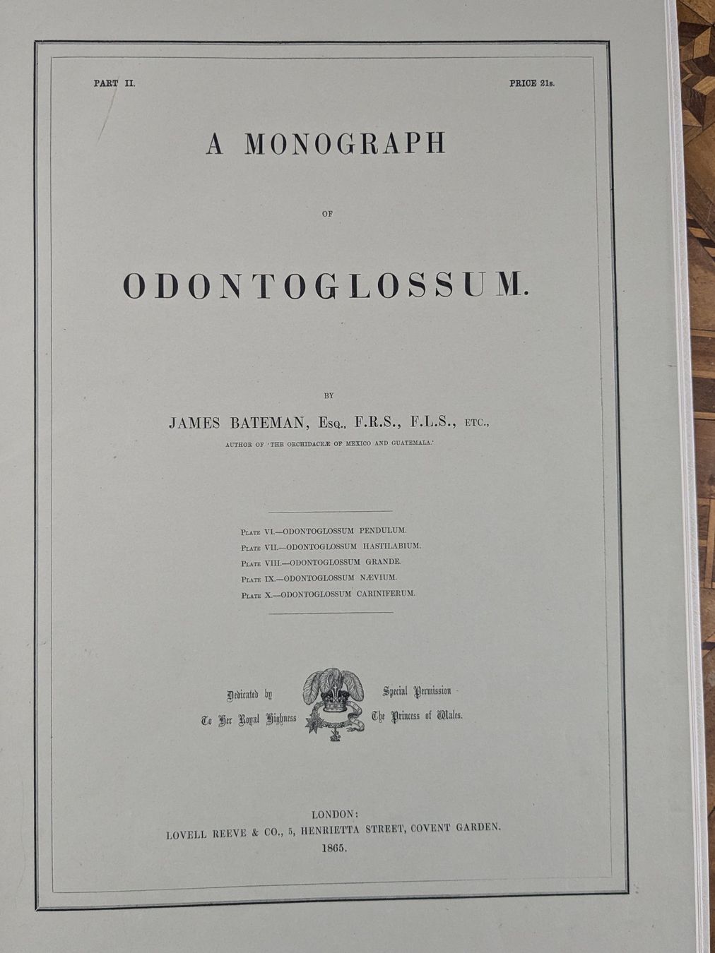 Libri: James Bateman - Monographie Odontoglossum – Usato da Bülach venduto da mueller8180 4