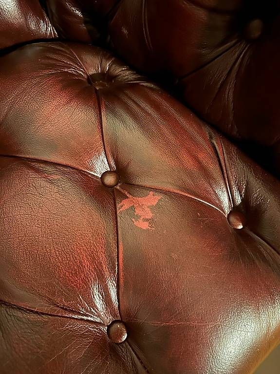 Divani: Chesterfield Couch Sofa Echtleder Massiv – Usato da Neuhausen am Rheinfall venduto da Longcat 4