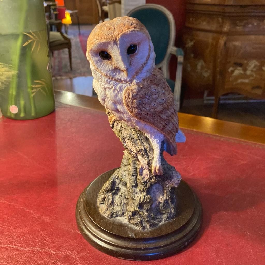 Statuette: Chouette en résine – Nuovo (secondo la descrizione) da Genève venduto da Carlottina5