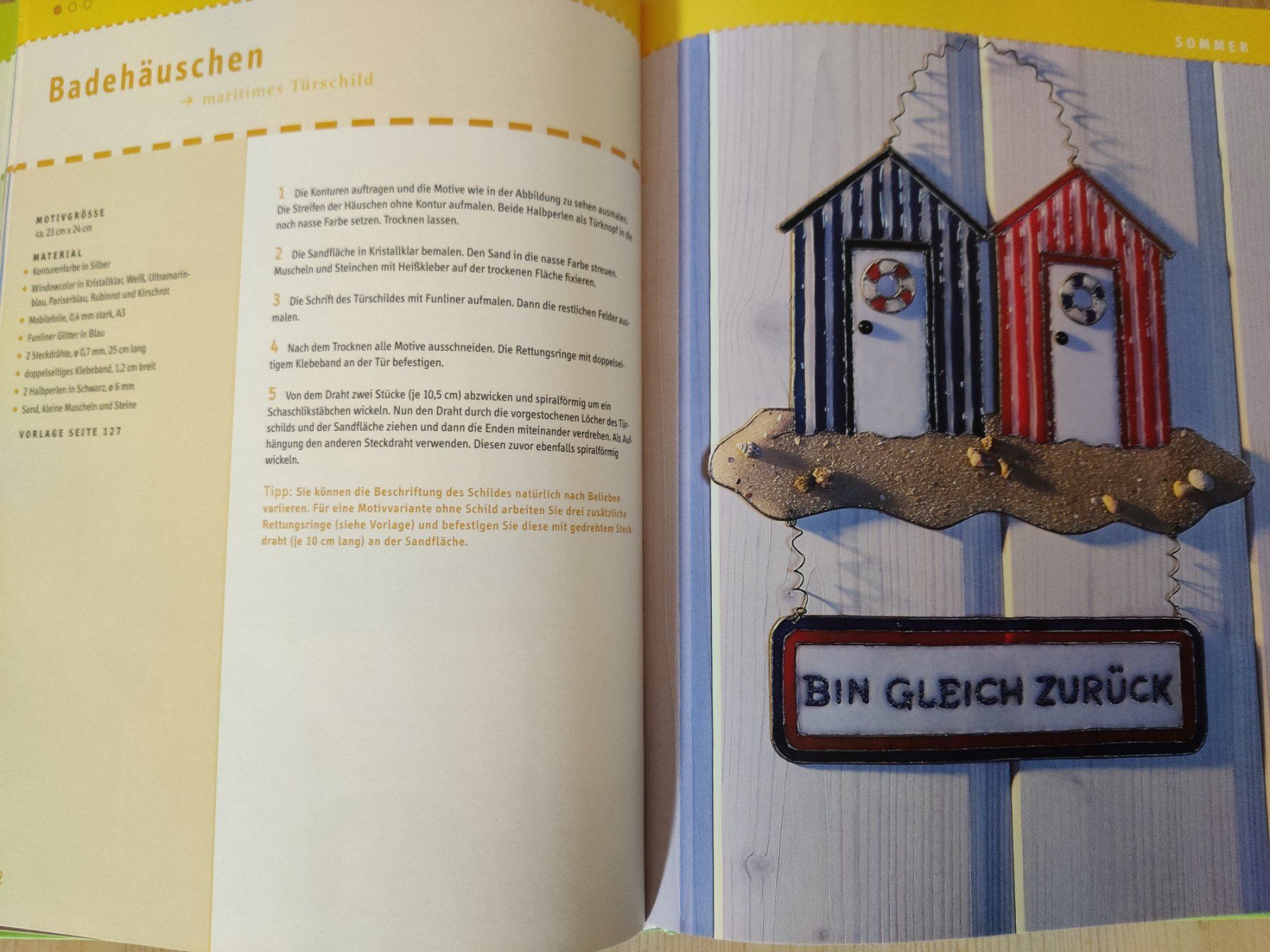Libri: Das ultimative WindowColor Buch / Toop 2007 – Usato da Muttenz venduto da Negnuja 3