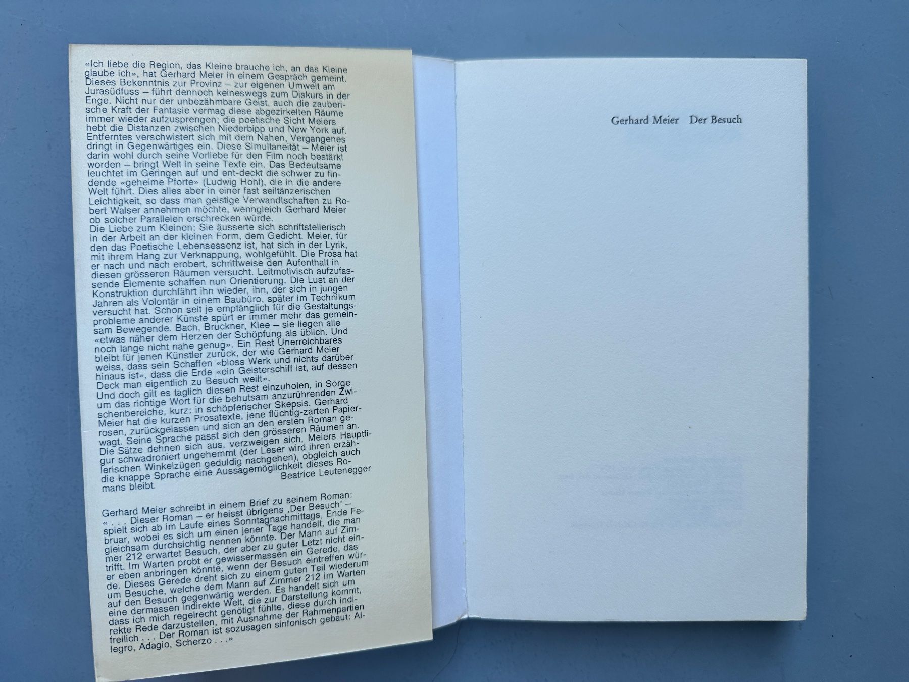 Libri: Gerhard Meier: Der Besuch. 1976 – Usato da Zürich venduto da allp 1