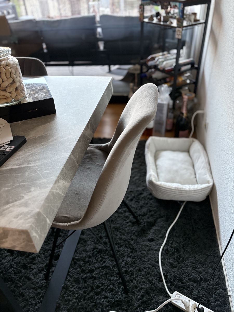 Chaises: Esszimmerstuhl grau Samt  2 Stck – D'occasion à Wallisellen par des_l5yc 1