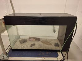 Aquarium (Becken mit Deckel) – nur 10 CHF