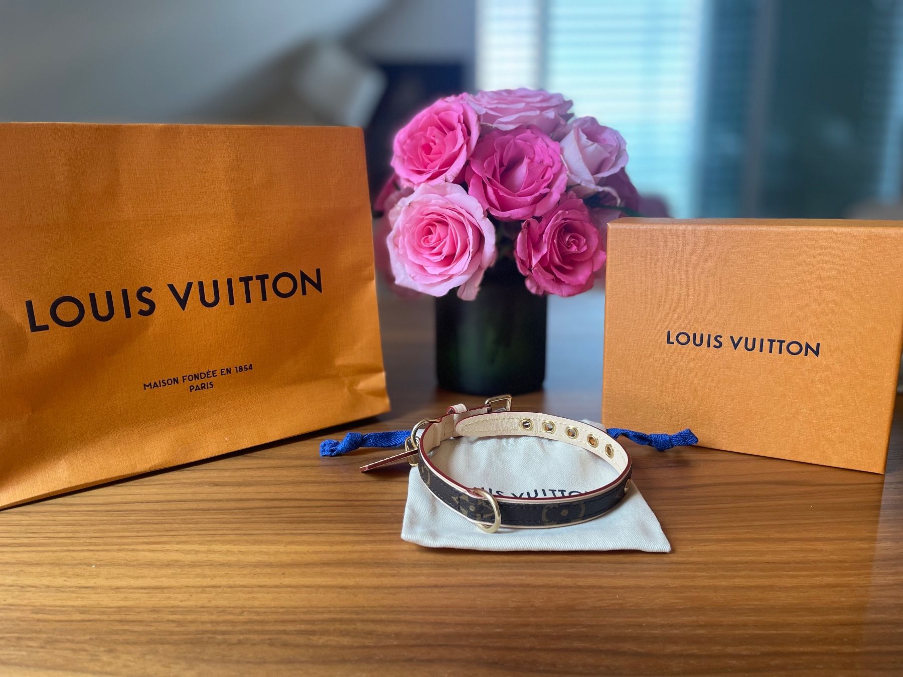 Louis Vuitton Hundehalsband (Neu und originalverpackt) in Ksnacht ZH fr  CHF 190  mit Lieferung auf Ricardo kaufen
