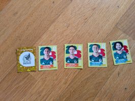 Panini 2026 MEX 1/10/12/19/20