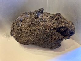 Lava Stein