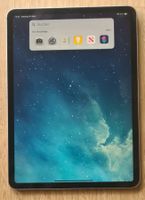 Ipad Air 5 256 GB Speicher WIFI&GSM A2589 10.9'' Display