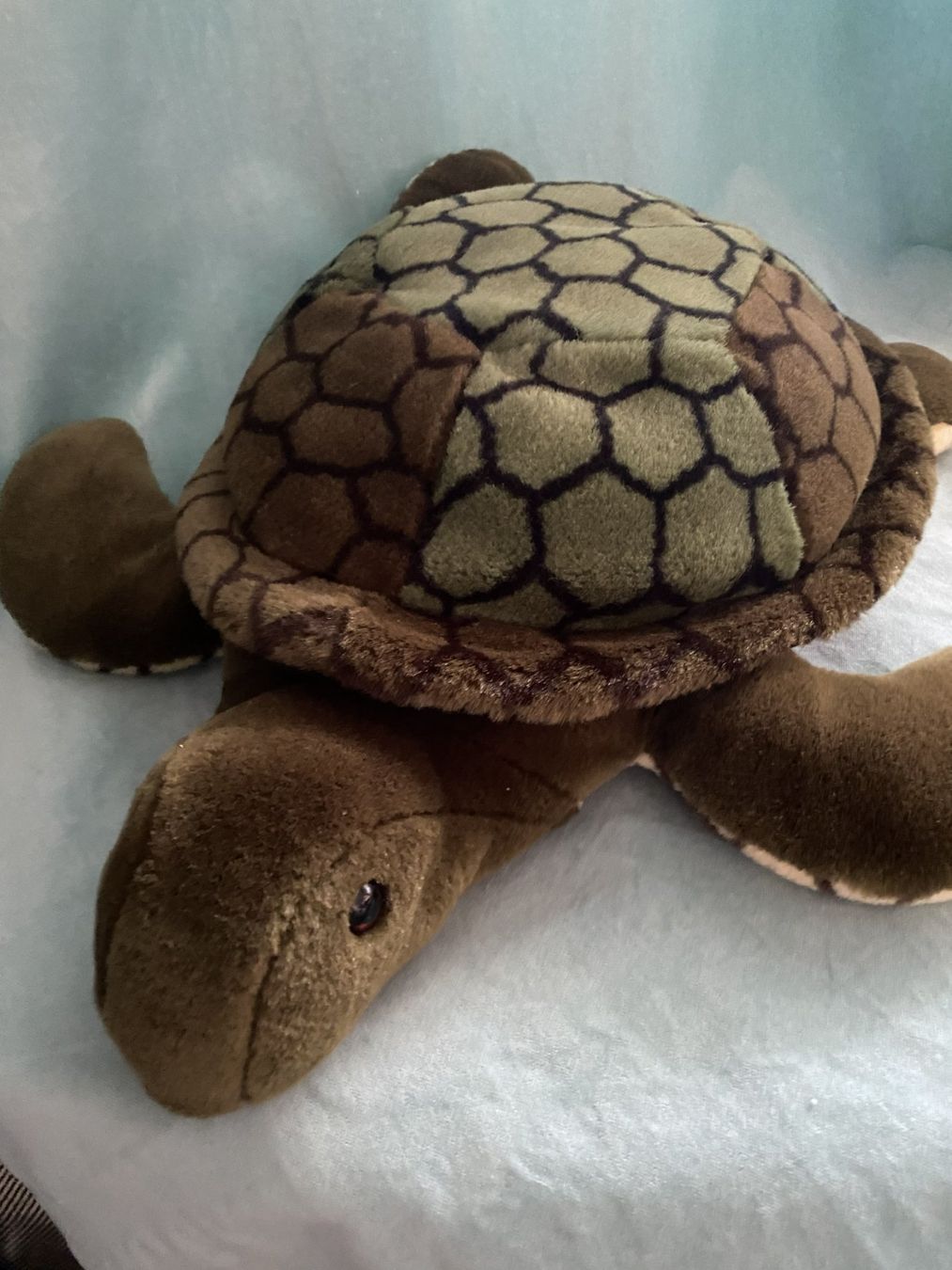 Spielzeuge: Schildkröte – Gebraucht aus Sachseln von basti1950 1