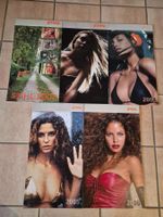 Stihl-Wandkalender 2002-2006