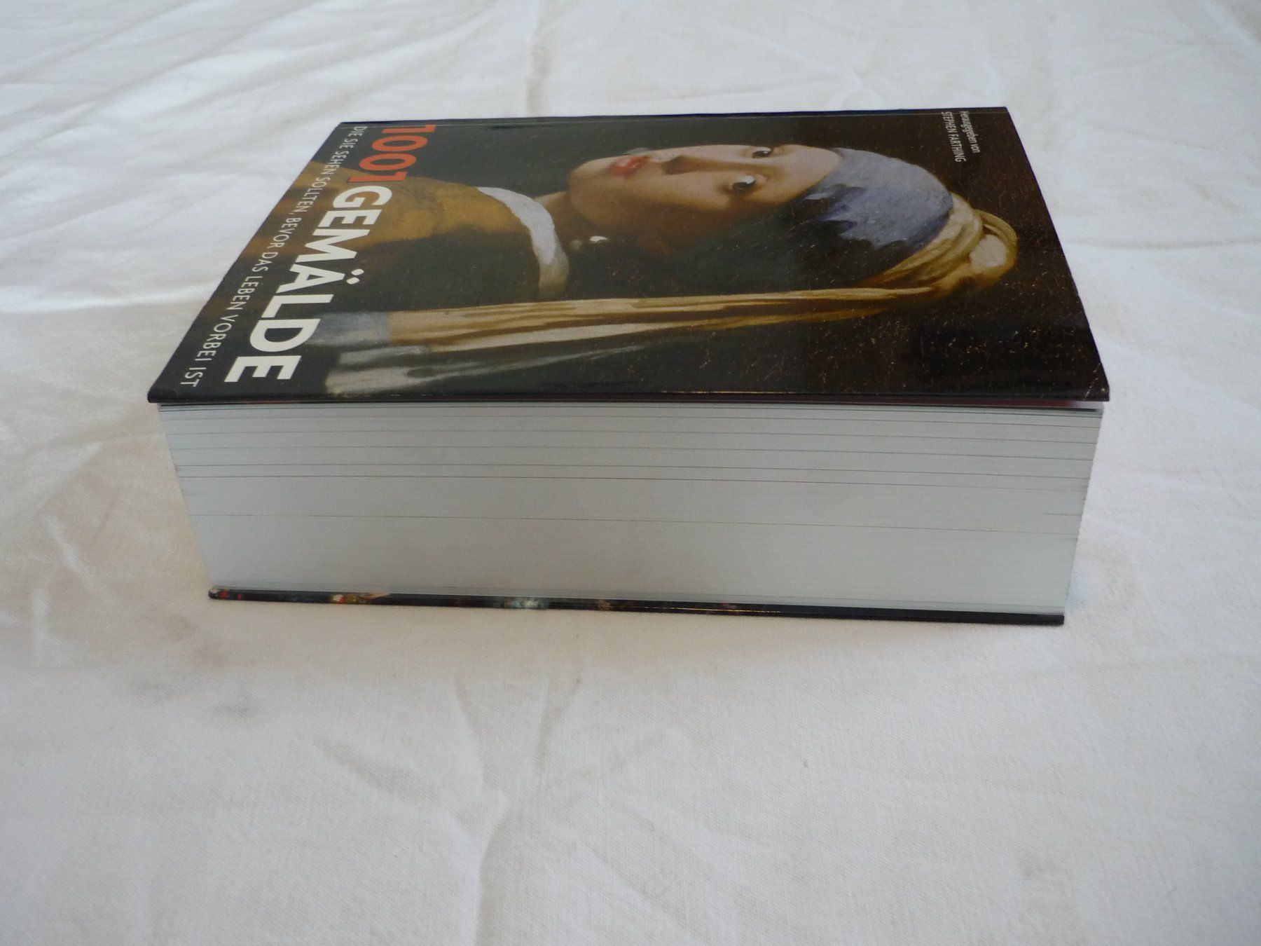 Libri: Buch - 1001 Gemälde - Stephen Farthing - Top erhalten – Usato da Beringen venduto da Flatretriever 2