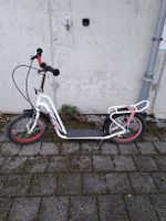 Cooler Challenger Trottinett-Roller für sportliche Kids PUKI