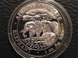 1Oz. 999Ag African Wildlife "Elephant" 2013