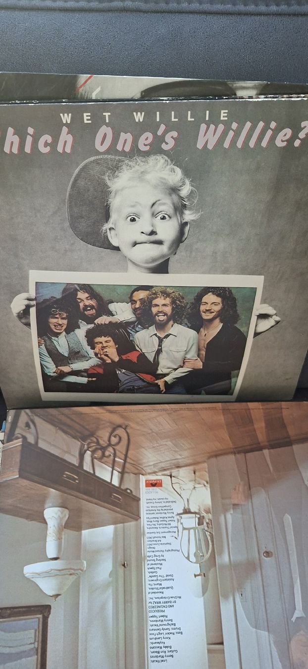 Dischi in vinile: Kleine Schallplatten Sammlung  – Usato da Riehen venduto da Steinbock1970 6