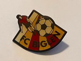 1 Pin FC Biglen