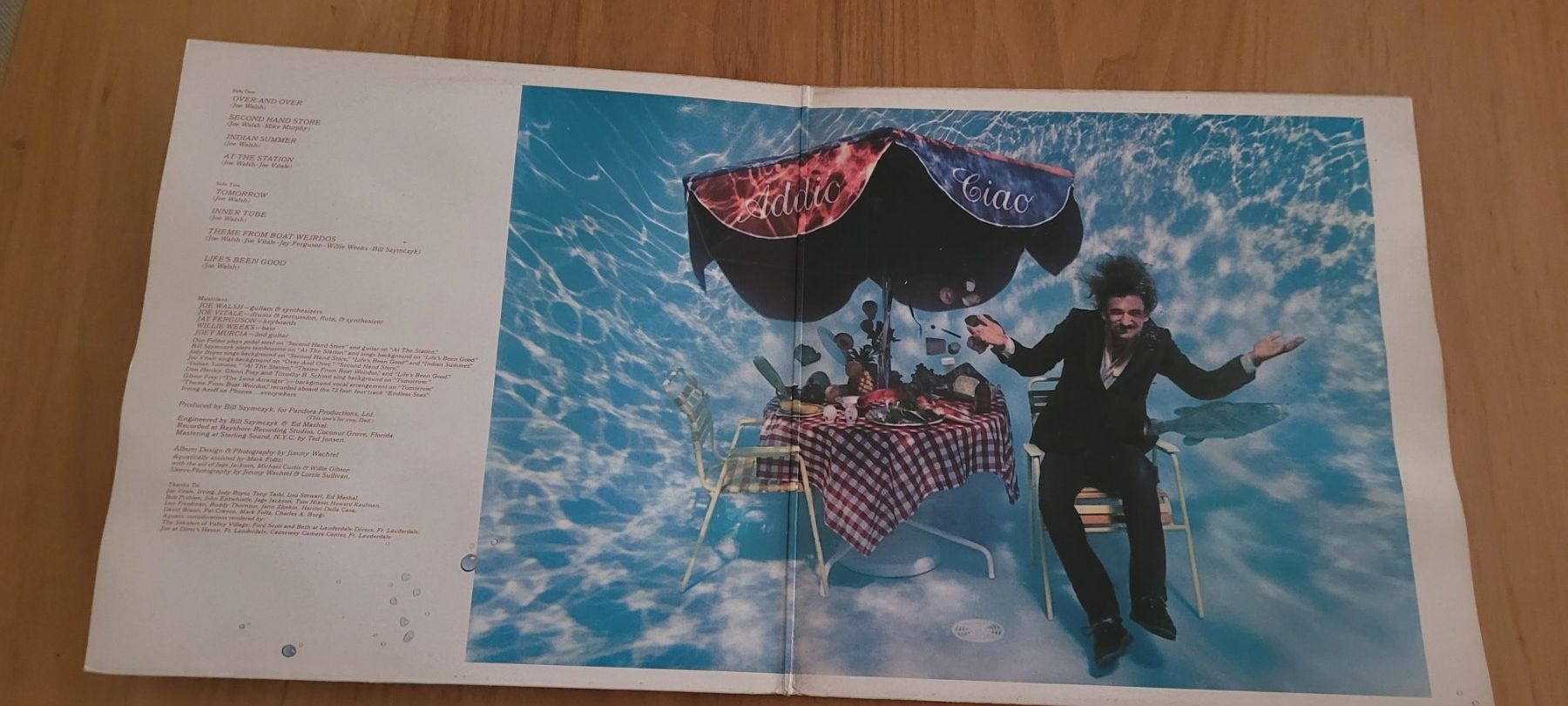 Schallplatten: LP  Joe Walsh – Gebraucht aus Martigny von MZ-67 1