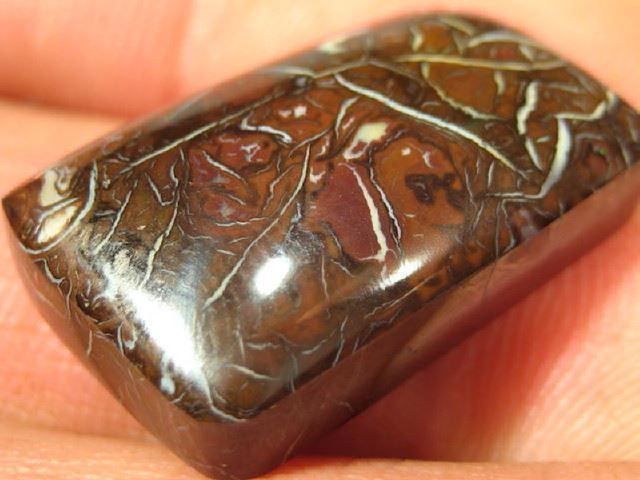 Edelsteine: Australischer Boulder Opal 26.70Cts. – Gebraucht aus Bern von Grindelwaldaus 1