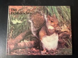 "Das Eichhörnchen" - Kinderbuch über Wildtiere im Wald🐿️