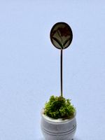 Jugendstil Miniatur Gartenstecker Medaillon 70er Puppenhaus