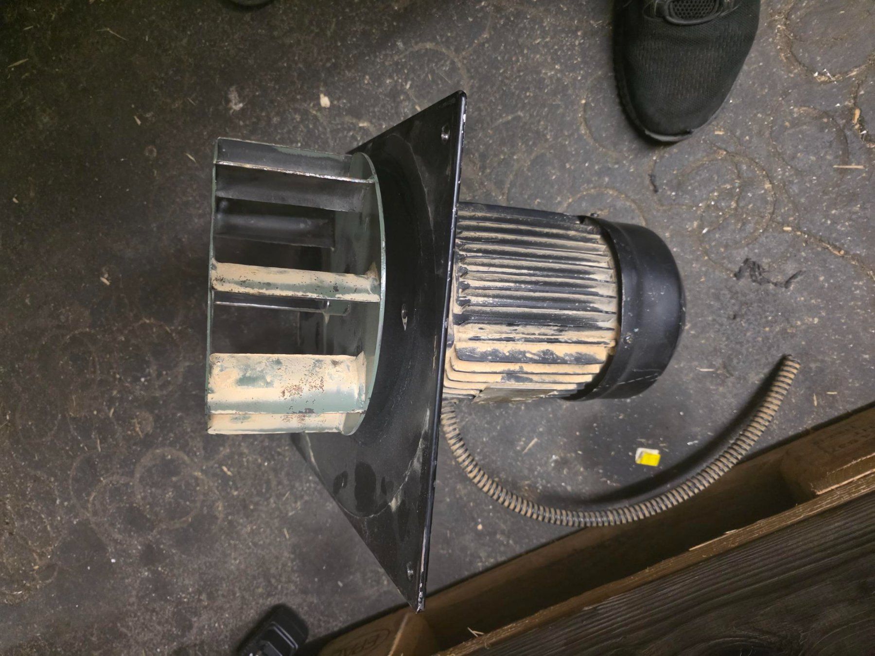 Elektronikbauteile: Elektromotoren - 14 Stk – Gebraucht aus Fehraltorf von rae_cr2c 1