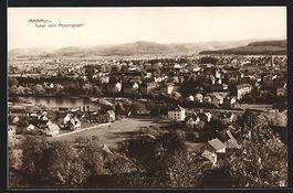 Aarau, Totalansicht vom Alpenzeiger aus