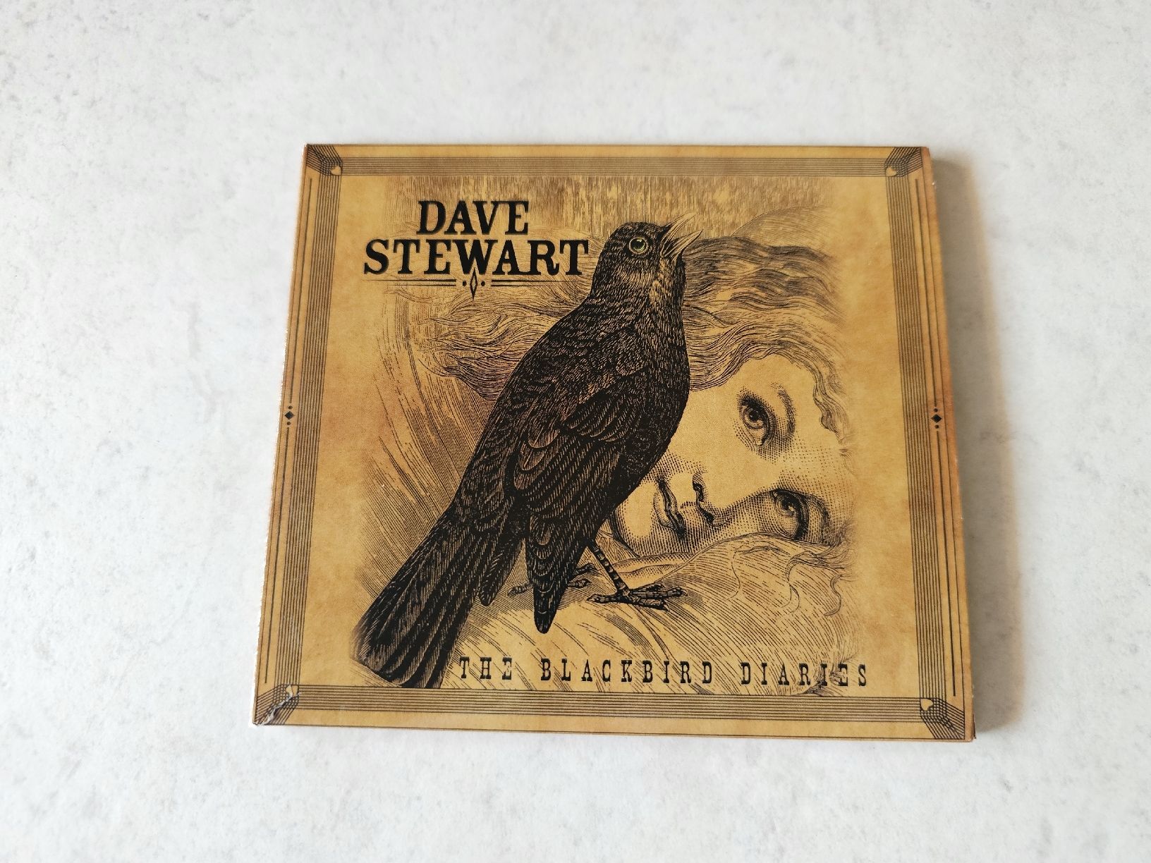 CD: Dave Stewart  -  The Blackbird Diaries – Usato da Schneisingen venduto da backstore24
