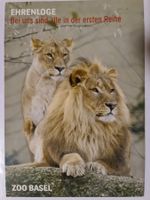 Zoo Basel Ansichtskarte Löwen
