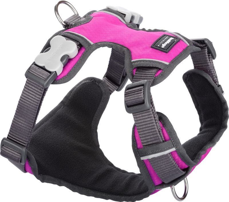 Guinzagli & Collari: RedDingo Padded Geschirr Hot Pink, XS wie NEU – Usato da Niederbipp venduto da FeenWERK