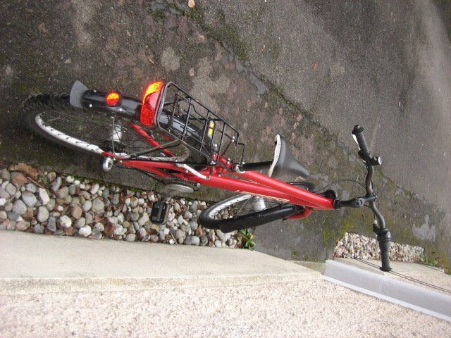 Leopard Biciclette: Leopard Kindervelo 24 Zoll rot – Usato da Winterthur venduto da pf02 3