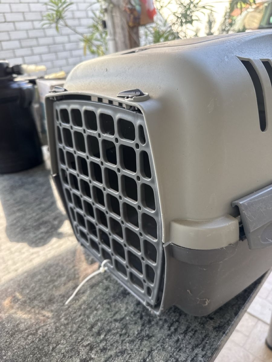Cucce & Letti: Hunde und Katzen transportieren  – Usato da Ringgenberg BE venduto da Tabitha80 2
