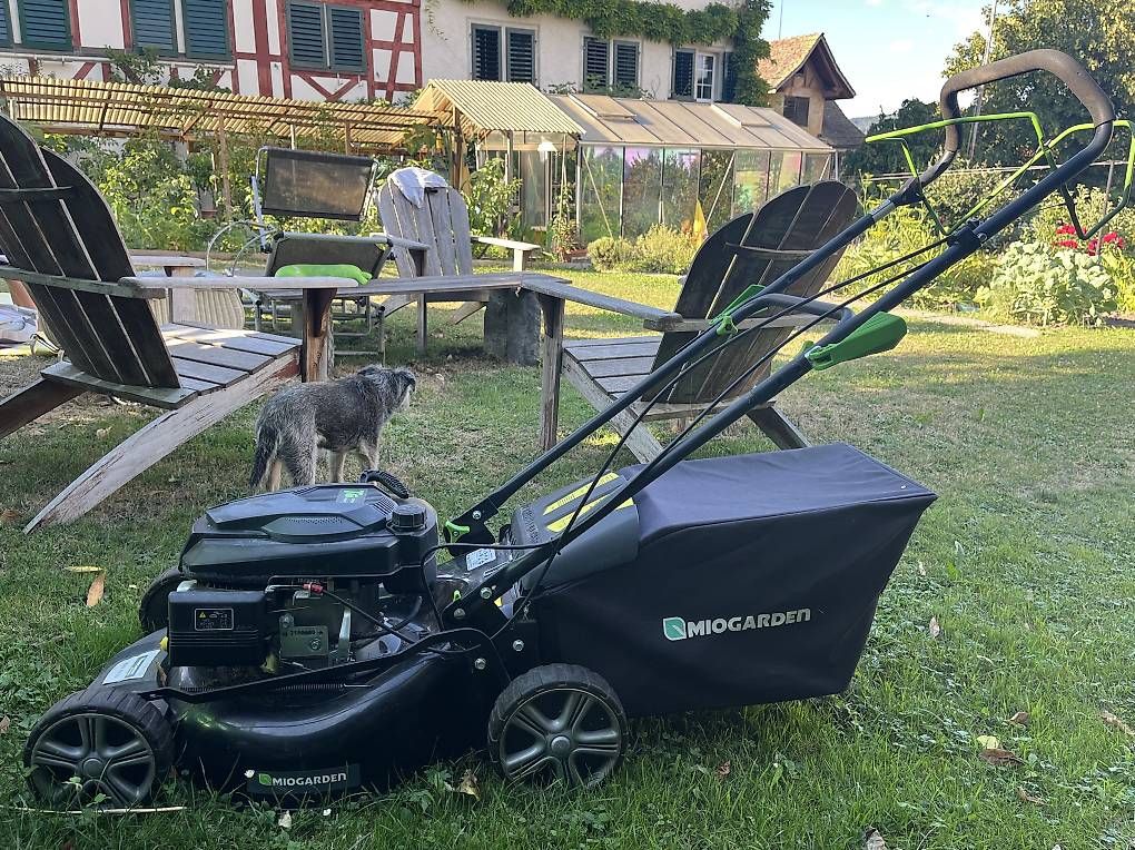 Tondeuses à gazon: Rasenmäher  – D'occasion à Rüschlikon par Mingus.28 1