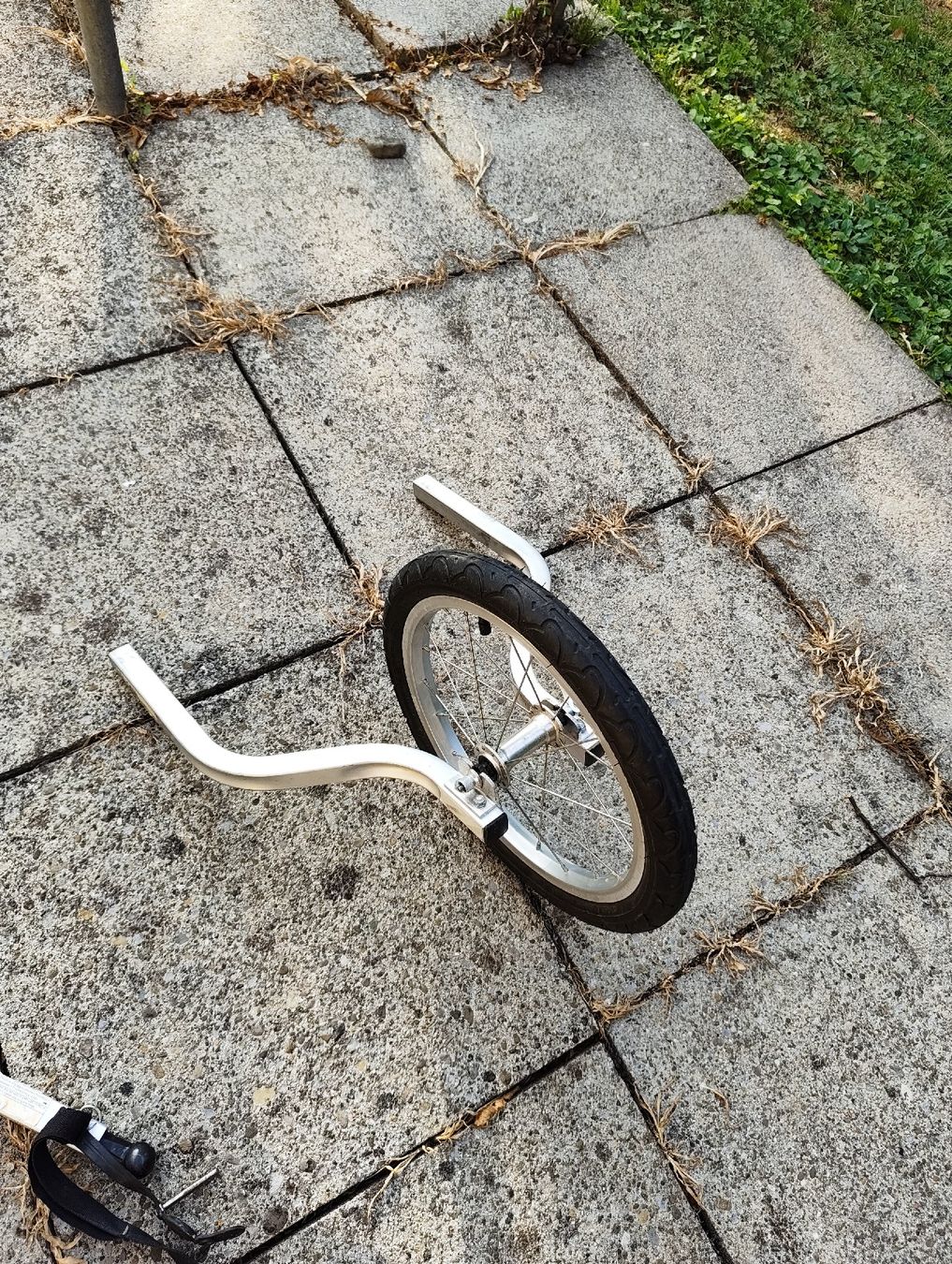 Rimorchi: Chariot Cougar 1 – Usato da Adliswil venduto da BadumTsss 3