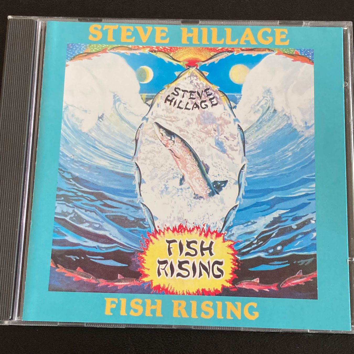 CD: Steve Hillage - Fish Rising – Usato da Bern venduto da Ntsamina