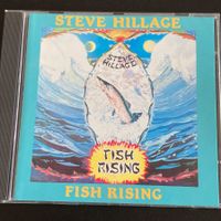 Steve Hillage - Fish Rising