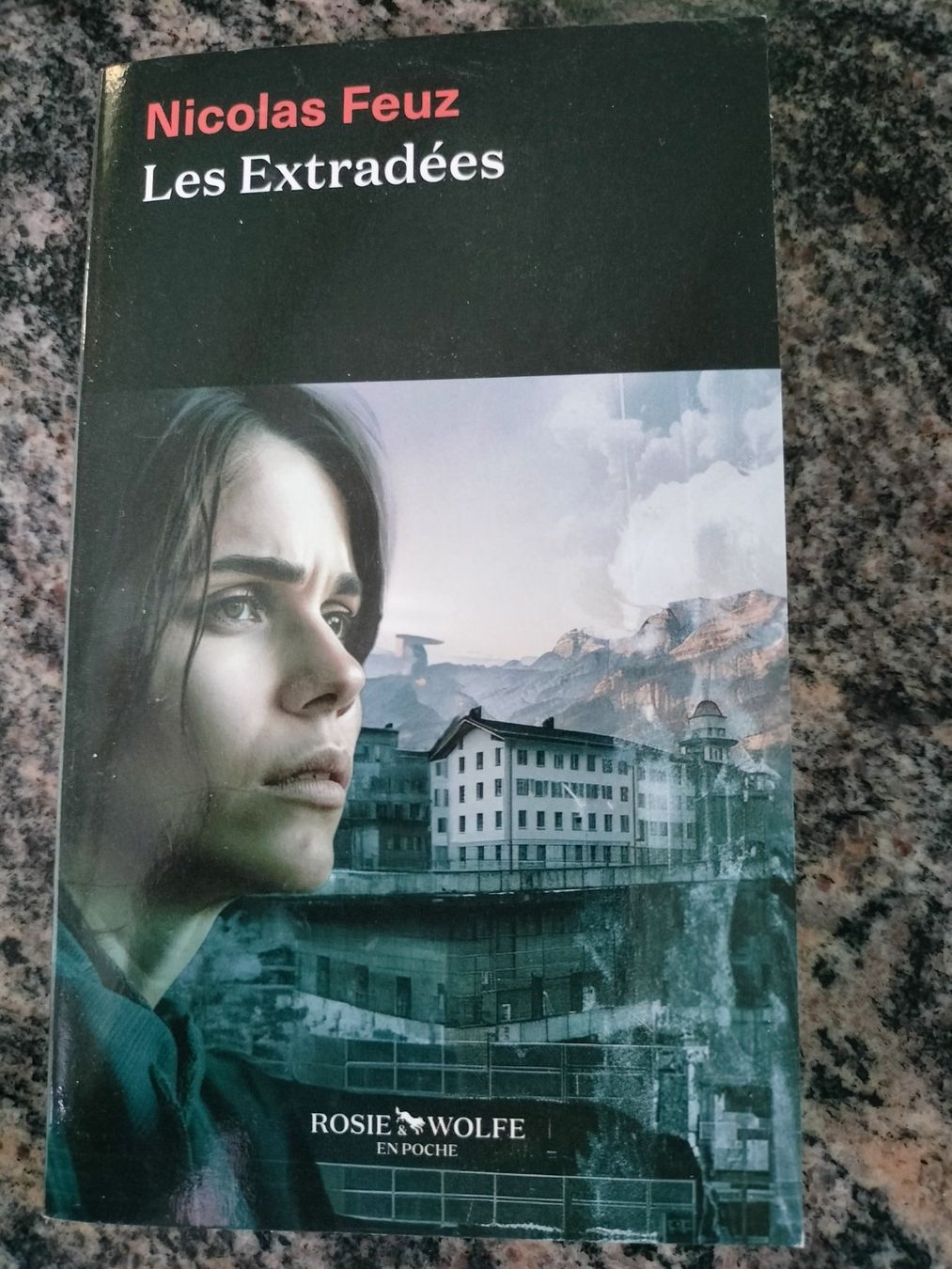 Libri: Les extradés - Nicolas Feuz – Usato da Cortaillod venduto da rozinna