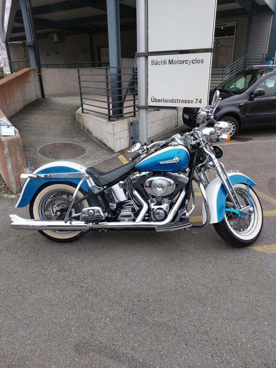Harley-Davidson Chopper: Harley Davidson FLSTS Softail Springer – Usato da glattbrugg venduto da cheche 5