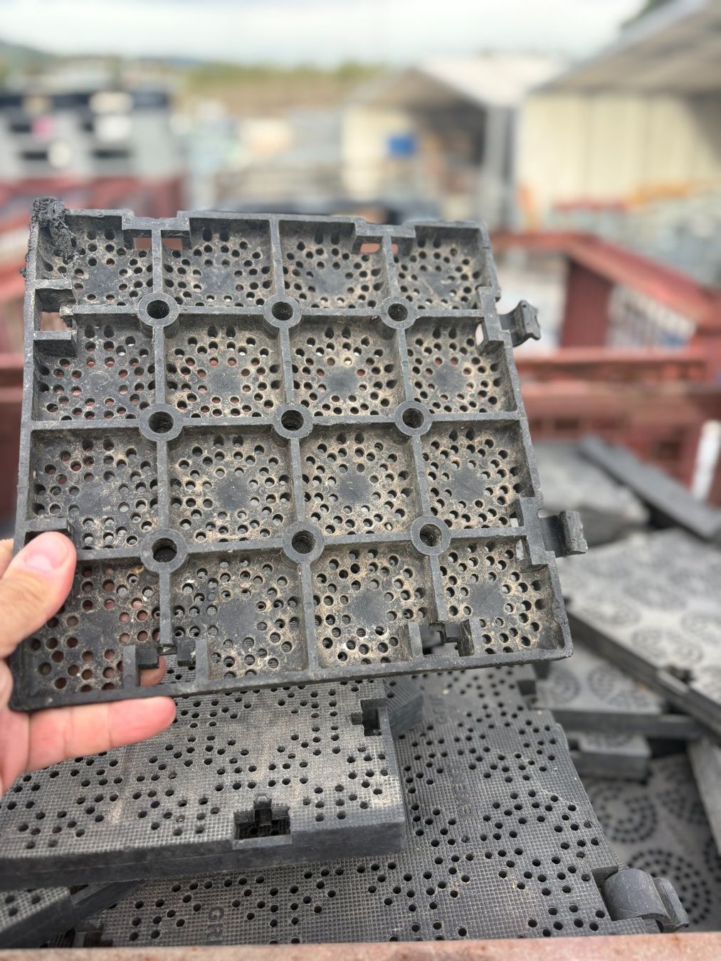 Servierplatten: Schiftholz Schiftplättchen Schiftplatten – Gebraucht aus Zürich von adolfkuhnag 1