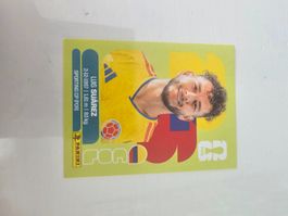 COL 19