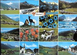 GOMS Obergesteln Oberwald Geschinen Ziege Ulrichen Gluringen