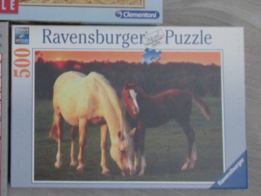 Puzzles: Puzzles: Clementoni.1500, Ravensburg. 500 – D'occasion à Galgenen par Forflowers 2