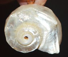Anhänger L-8391 – Muschel Perlmutterfarbig
