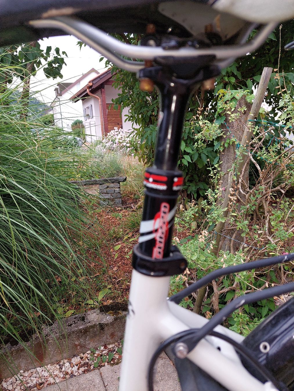 Velos: Damen Velo Scheller Speed Drive weiss mit Korb – Gebraucht aus Muttenz von bea_mmf9 4