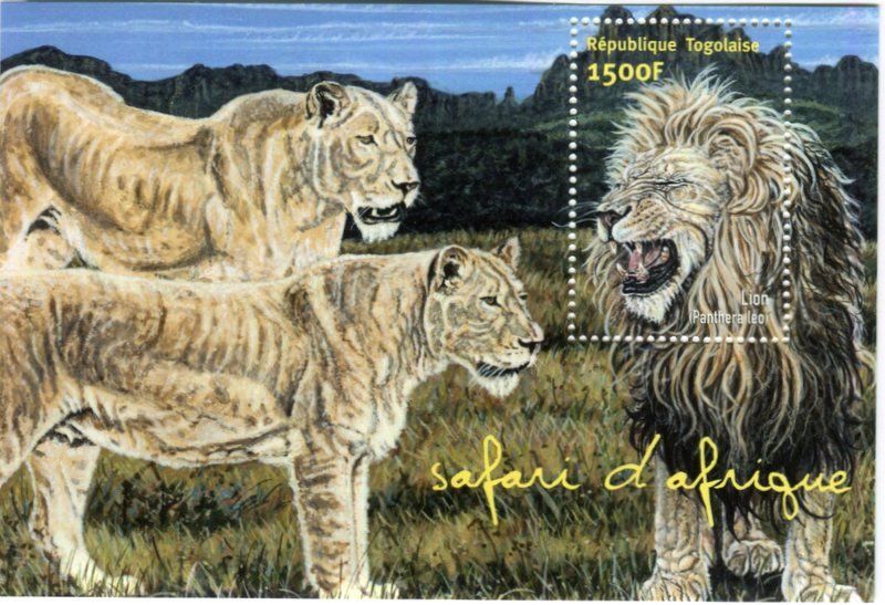 Tous les timbres: Block "Löwen". Togo – Neuf avec emballage d'origine à Basel par Butsch5