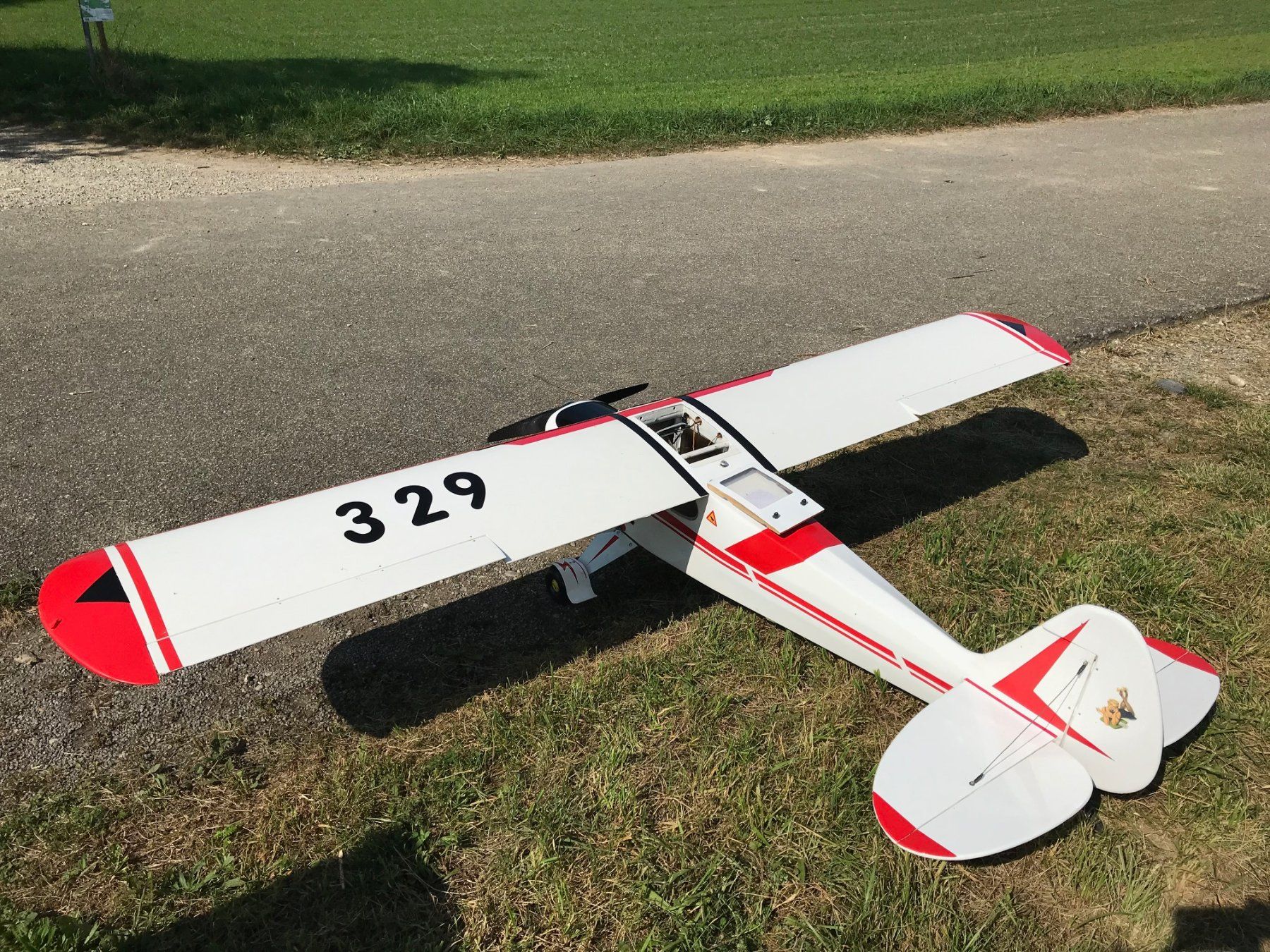 Modellismo RC: PIEPER Grossmodell – Usato da Safenwil venduto da Ft300 2