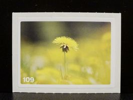 MIGROS MANIA Nature Detectives Nr. 109